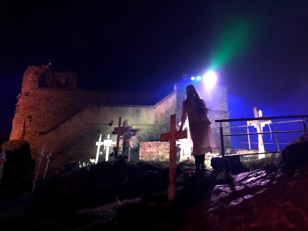 フランケンシュタイン城 ハロウィン祭り ドイツ留学 ヴュルツブルク滞在記