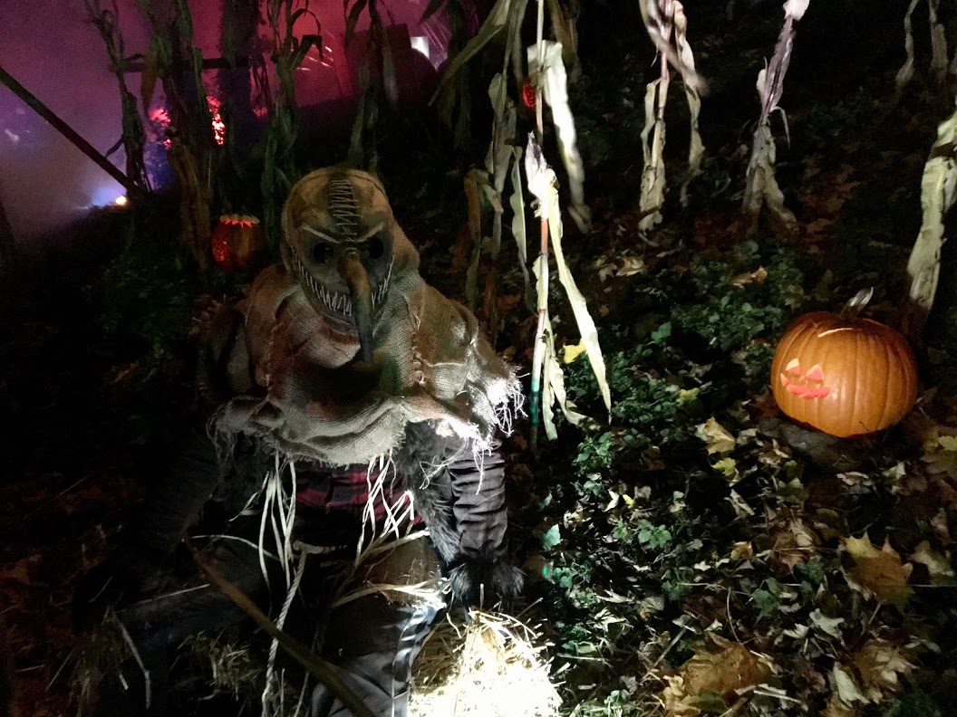 フランケンシュタイン城 ハロウィン祭り ドイツ留学 ヴュルツブルク滞在記