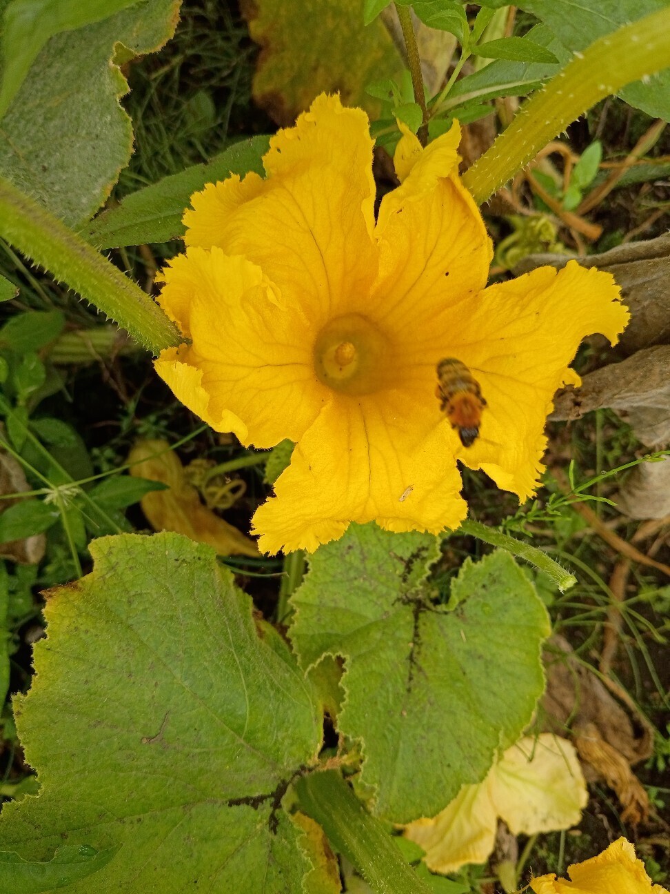 f:id:hanasakaoba:20260821225650j:image f:id:hanasakaoba:20260821225650j:image