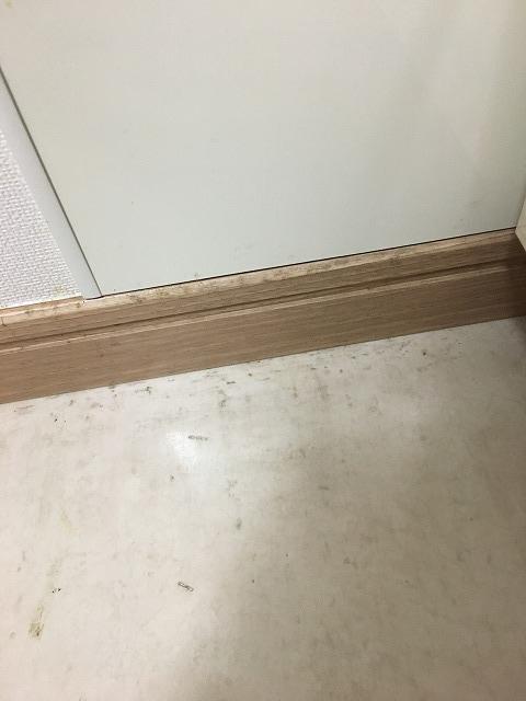 f:id:hanasan_okiraku:20190628141710j:plain f:id:hanasan_okiraku:20190628141710j:plain
