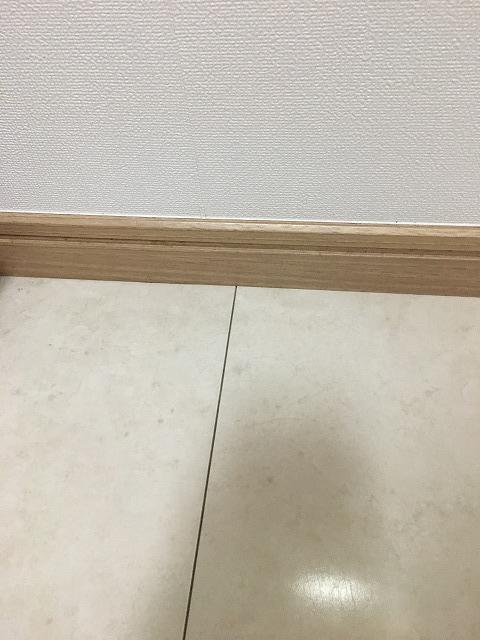 f:id:hanasan_okiraku:20190628141726j:plain f:id:hanasan_okiraku:20190628141726j:plain