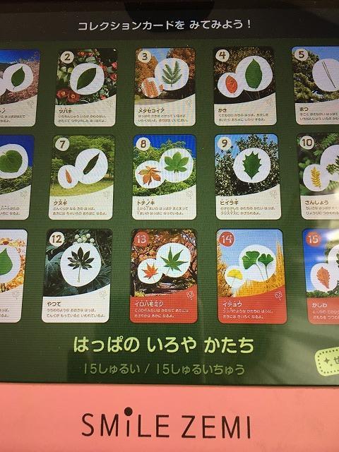 スマイルゼミでもらえるカード6