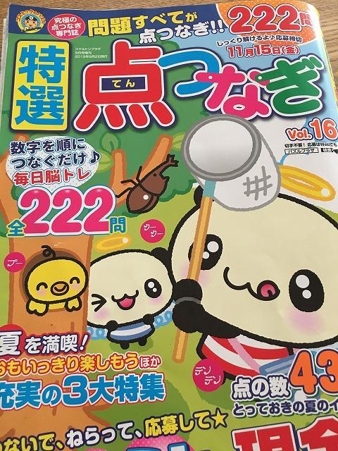 暇つぶし に 点つなぎ 大人も子供も集中 簡単なものから難しいものまで沢山 気まぐれ主婦の日常 シンプルが好き