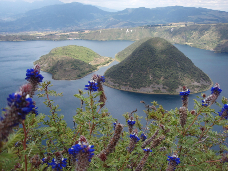 f:id:hanasanpo:20080810010512j:image f:id:hanasanpo:20080810010512j:image