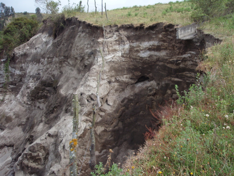 f:id:hanasanpo:20080813233857j:image f:id:hanasanpo:20080813233857j:image