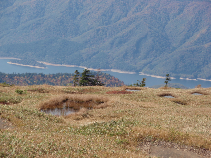 f:id:hanasanpo:20081010120105j:image
