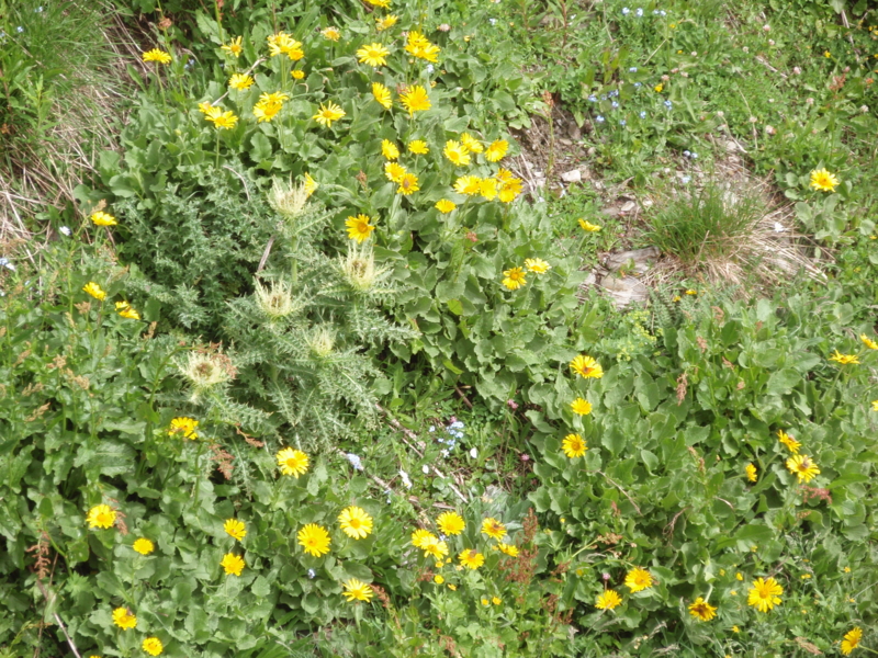 f:id:hanasanpo:20120806120028j:image f:id:hanasanpo:20120806120028j:image