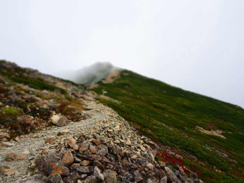 f:id:hanasanpo:20120908114129j:image f:id:hanasanpo:20120908114129j:image