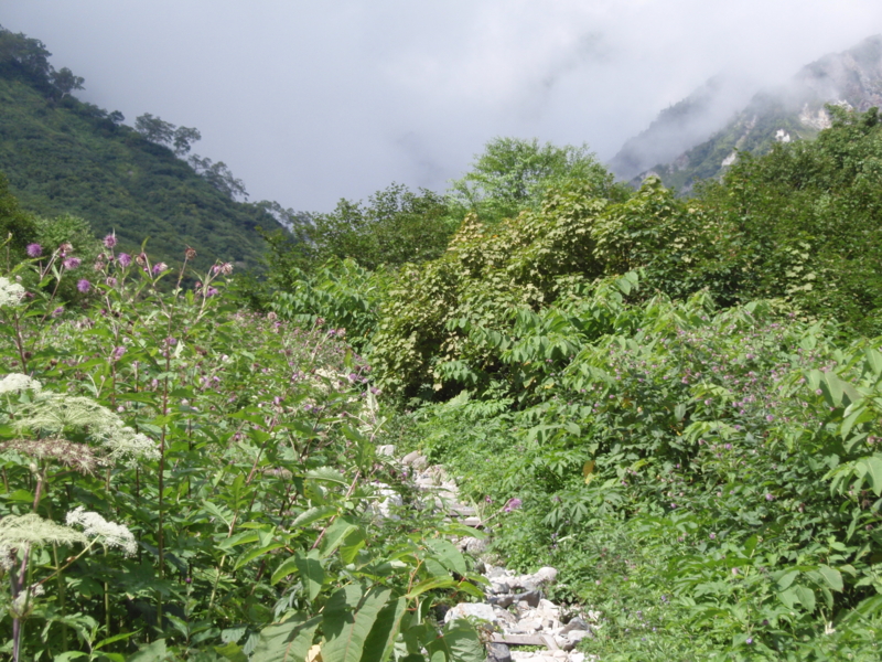 f:id:hanasanpo:20120922093802j:image