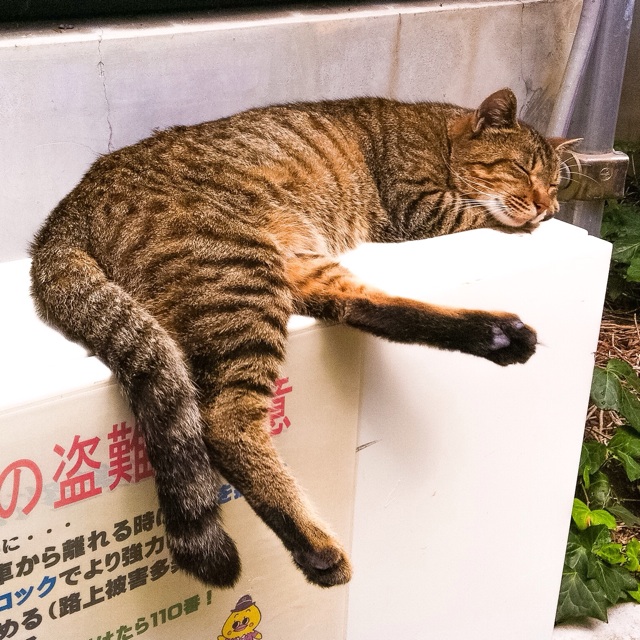 f:id:hanasennin9:20160712065230j:plain f:id:hanasennin9:20160712065230j:plain
