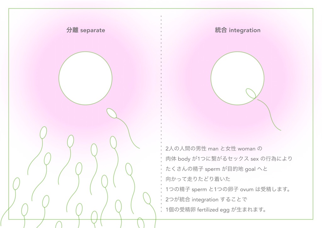f:id:hanasennin9:20180329231510j:image f:id:hanasennin9:20180329231510j:image