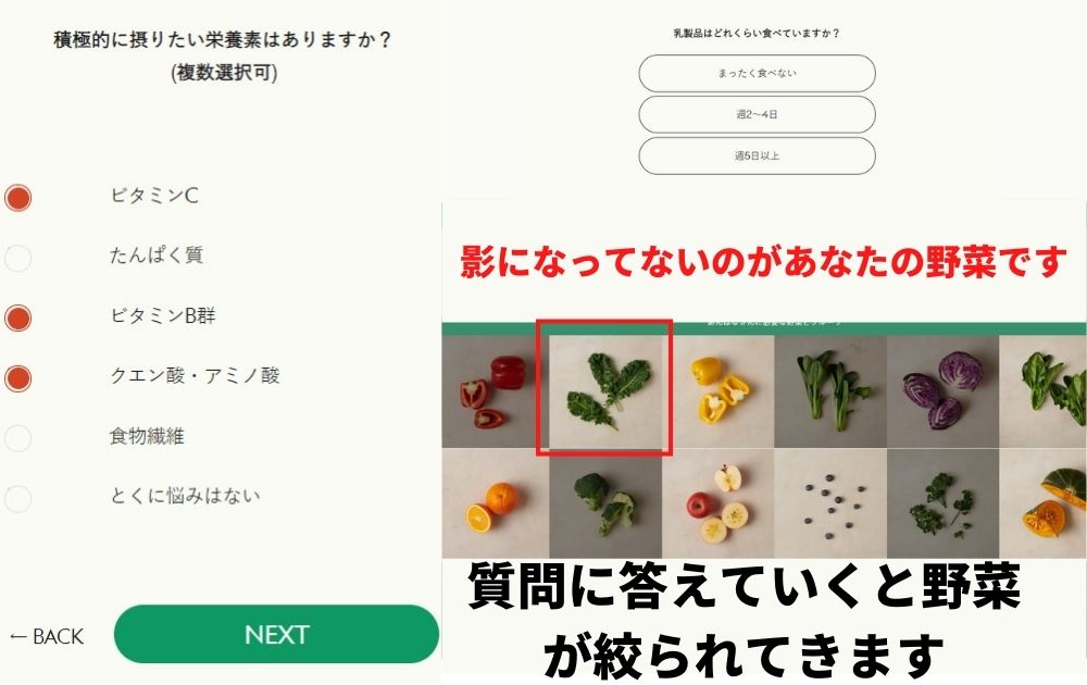 GREEN SPOON診断の流れ