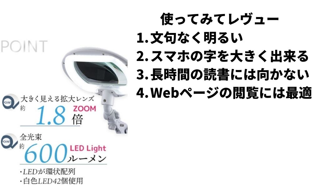 エルズームレヴュー