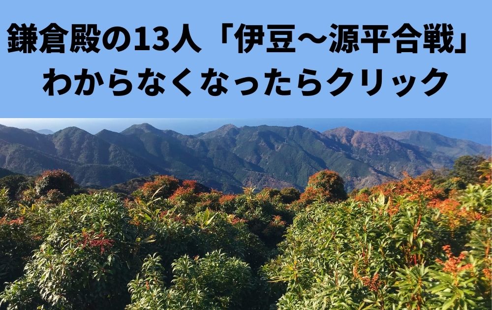 鎌倉殿の13人感想