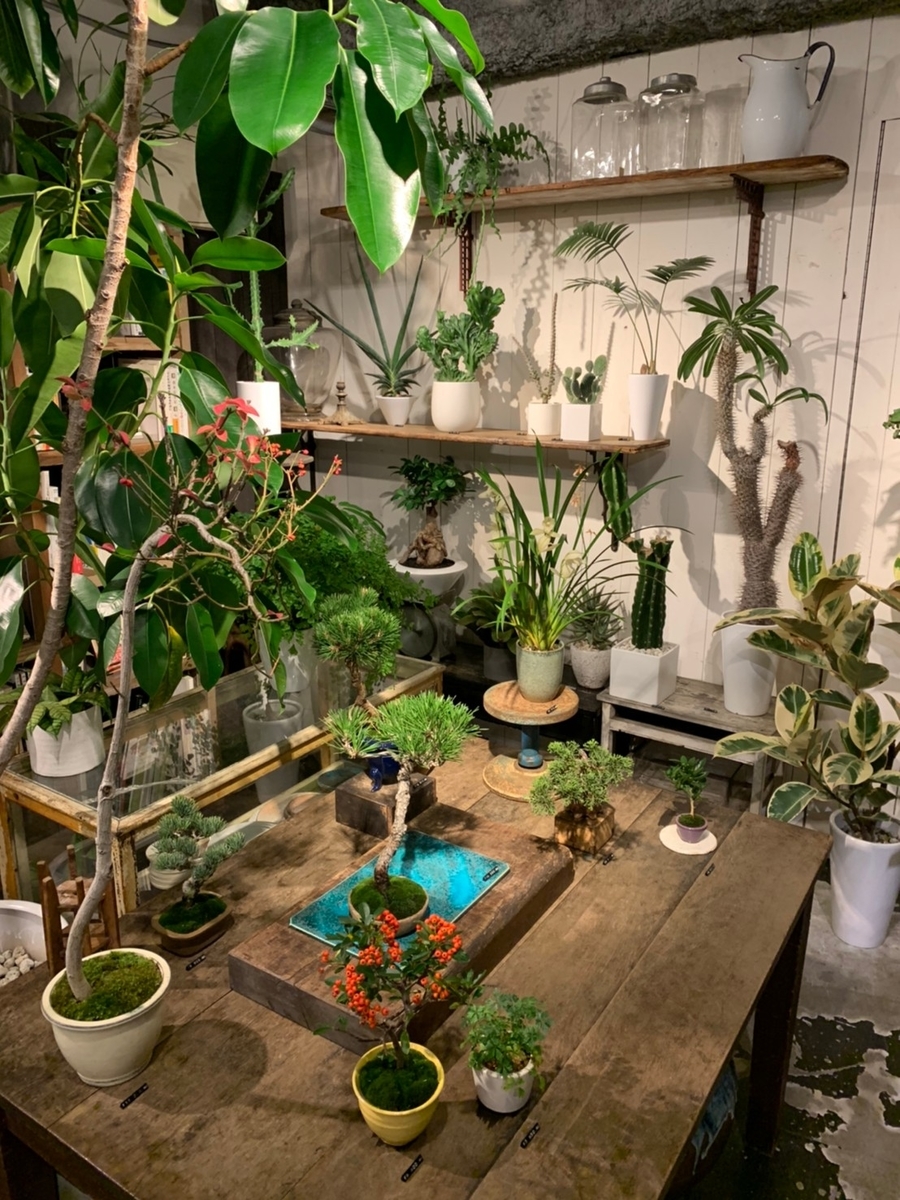 お花屋さん巡り Neo Green 代々木 花屋を巡る旅 お花屋さん巡り Neo Green 代々木 花屋を巡る旅