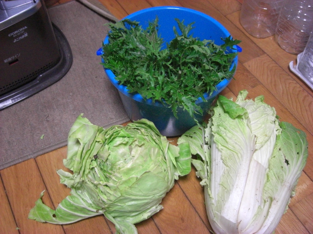 f:id:hanatanchobitan:20200311171323j:plain f:id:hanatanchobitan:20200311171323j:plain