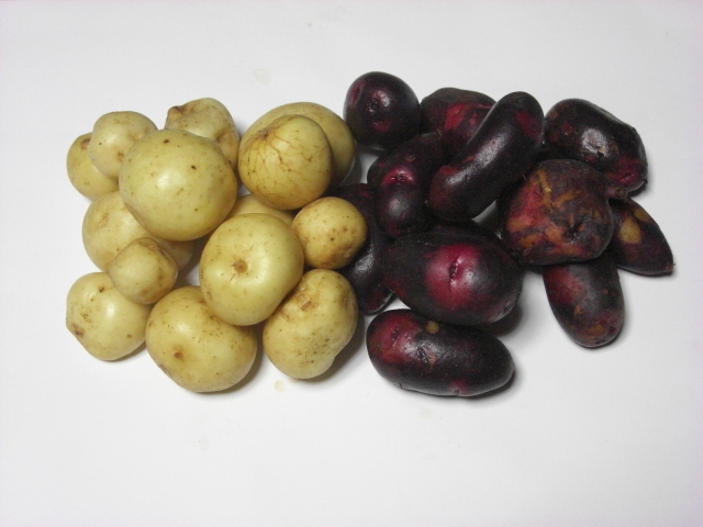 f:id:hanatanchobitan:20200527203425j:plain f:id:hanatanchobitan:20200527203425j:plain