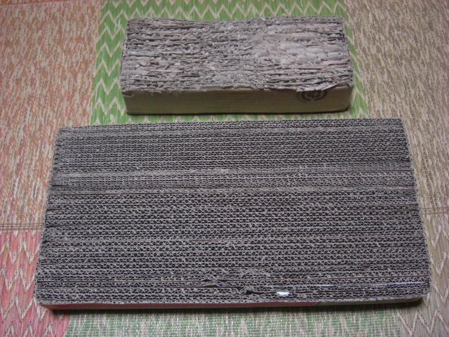 f:id:hanatanchobitan:20200611195308j:plain