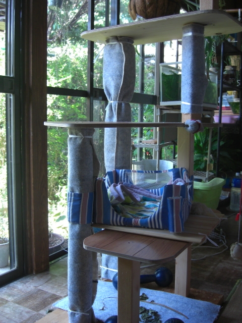 f:id:hanatanchobitan:20200811125851j:plain