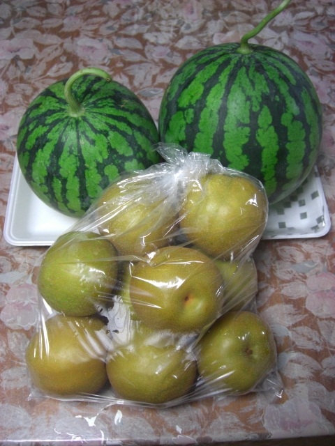 f:id:hanatanchobitan:20200818213637j:plain