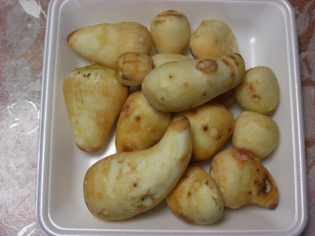 f:id:hanatanchobitan:20201010210259j:plain