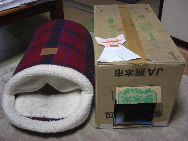 f:id:hanatanchobitan:20201029215116j:plain f:id:hanatanchobitan:20201029215116j:plain