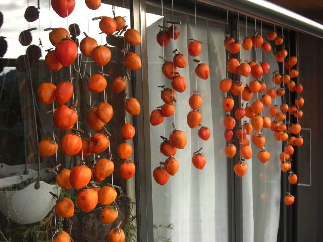 f:id:hanatanchobitan:20201031210412j:plain