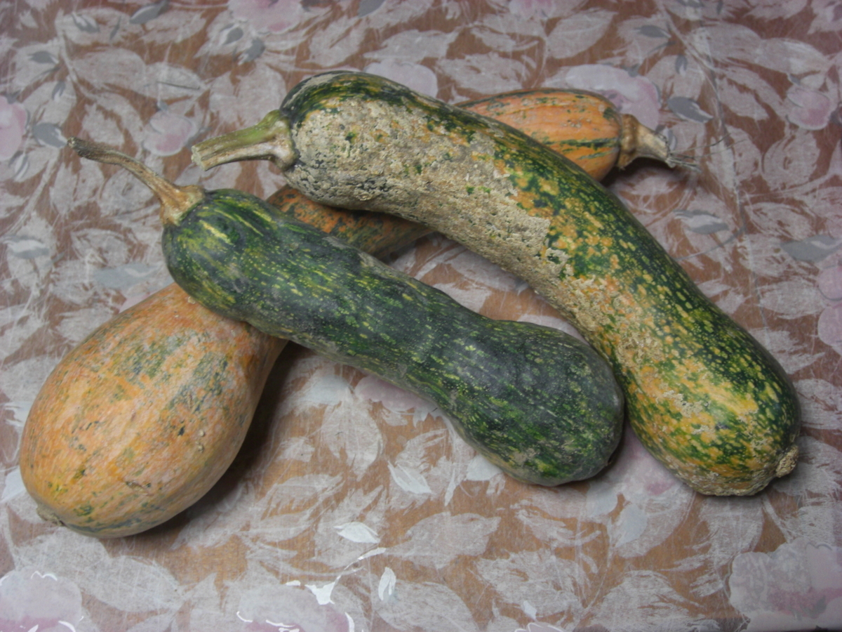 f:id:hanatanchobitan:20201204215256j:plain