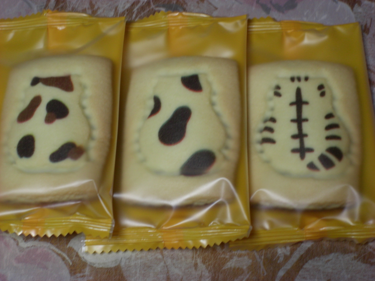 f:id:hanatanchobitan:20201209211003j:plain