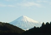 f:id:hanatanchobitan:20210125224623j:plain