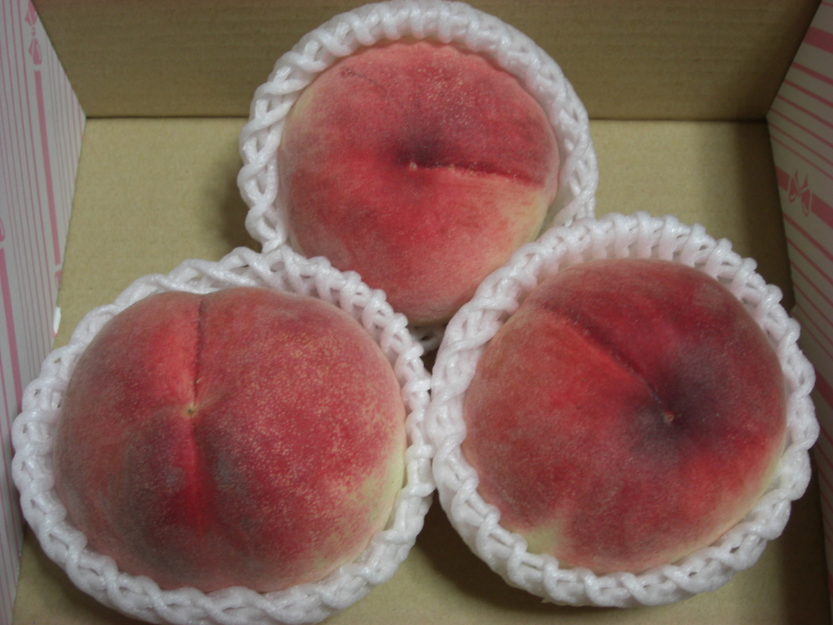 f:id:hanatanchobitan:20210721162255j:plain