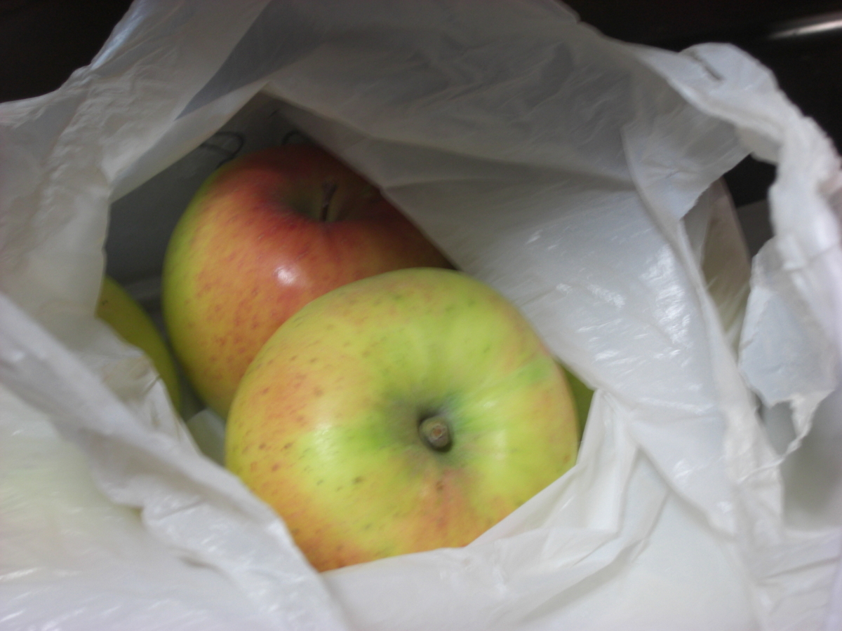 f:id:hanatanchobitan:20211117205023j:plain