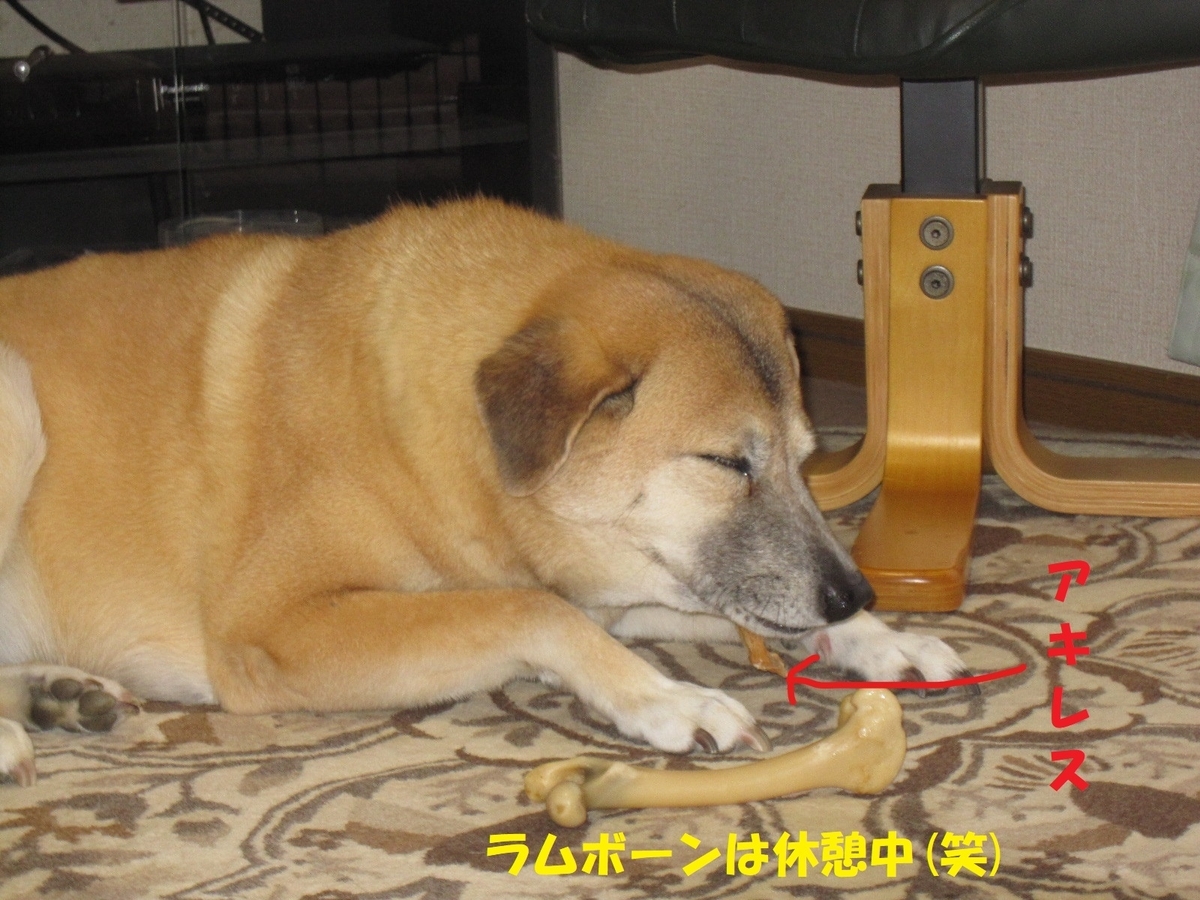 f:id:hanatanmama:20190418115846j:plain f:id:hanatanmama:20190418115846j:plain