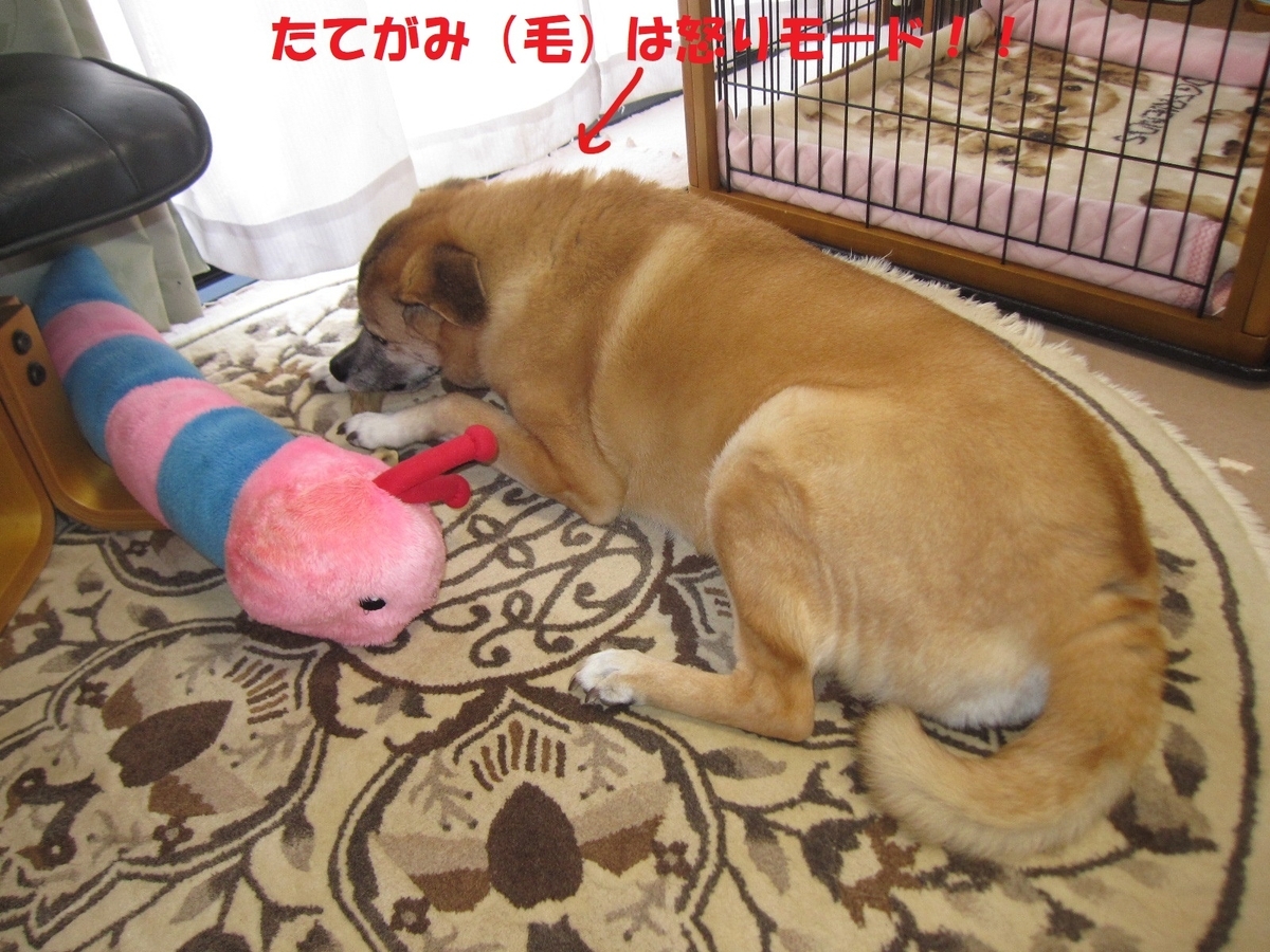 f:id:hanatanmama:20190418120017j:plain f:id:hanatanmama:20190418120017j:plain