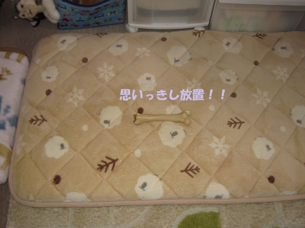 f:id:hanatanmama:20190418120158j:plain f:id:hanatanmama:20190418120158j:plain