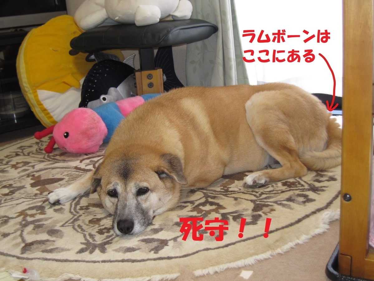 f:id:hanatanmama:20190418120834j:plain f:id:hanatanmama:20190418120834j:plain
