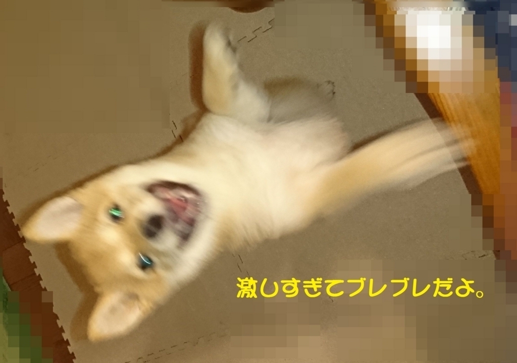 f:id:hanatara:20180624203710j:plain