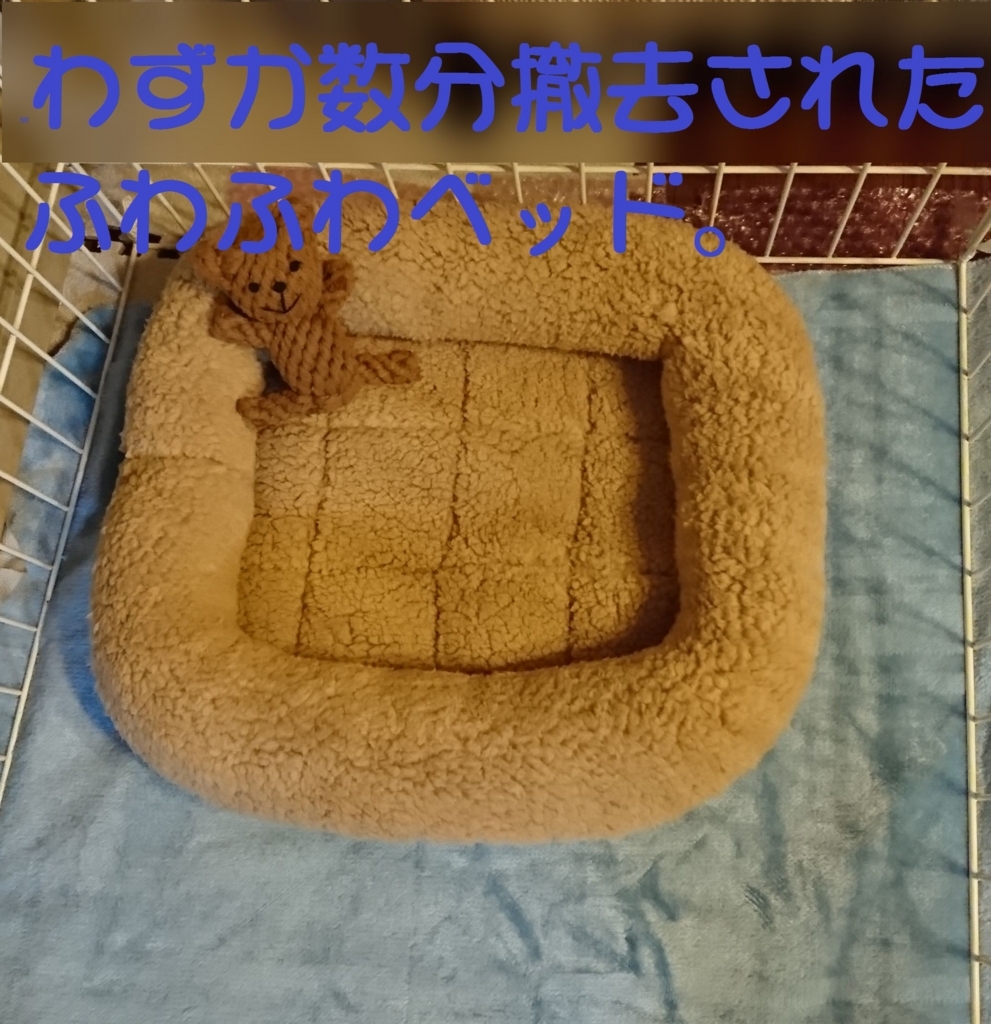 f:id:hanatara:20180629173848j:plain