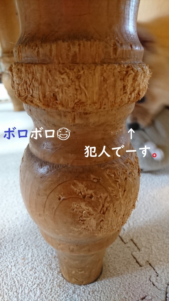 f:id:hanatara:20180707093623j:plain