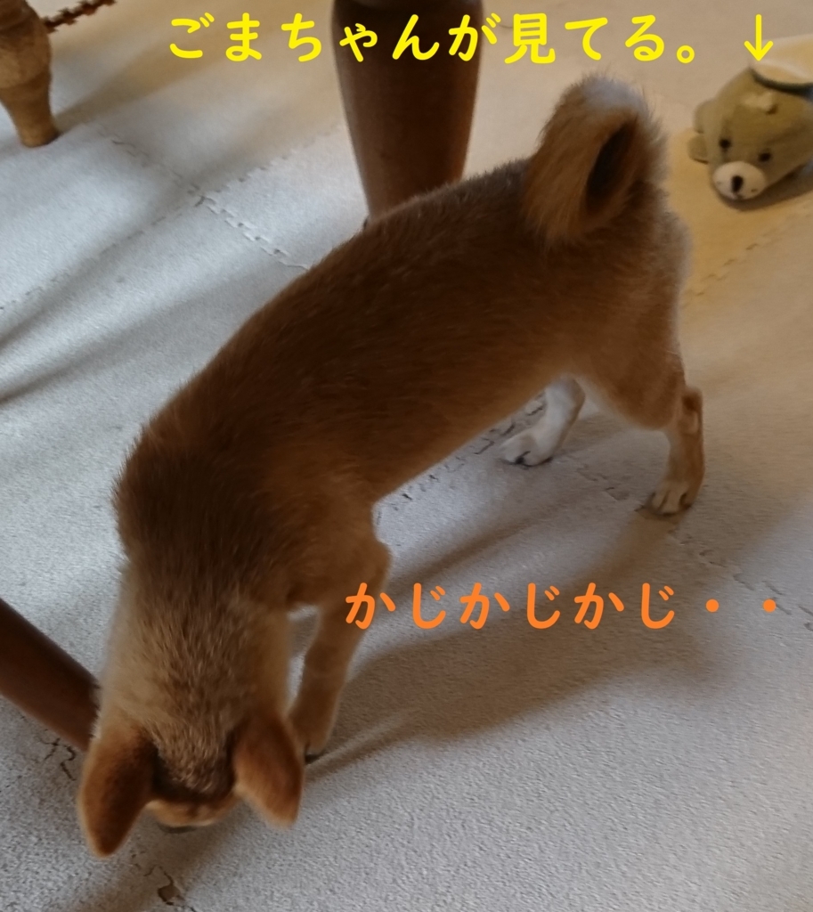 f:id:hanatara:20180714083835j:plain