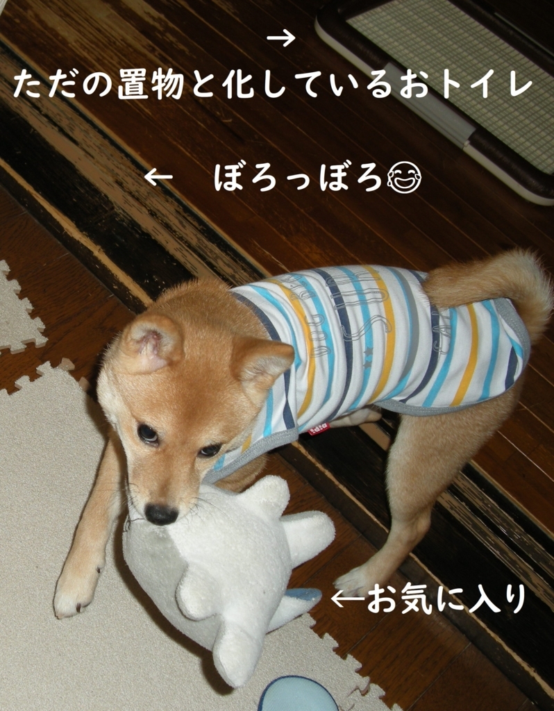 f:id:hanatara:20180721081738j:plain