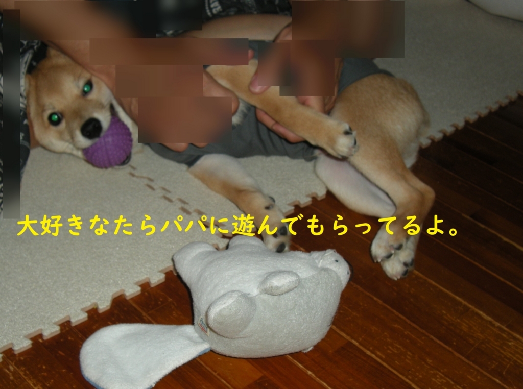 f:id:hanatara:20180721082554j:plain
