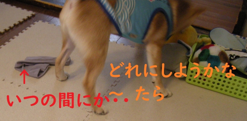 f:id:hanatara:20180730143218j:plain