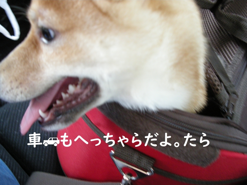 f:id:hanatara:20180805181449j:plain f:id:hanatara:20180805181449j:plain