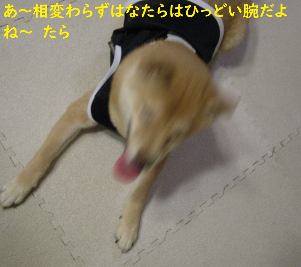 f:id:hanatara:20180809201559j:plain