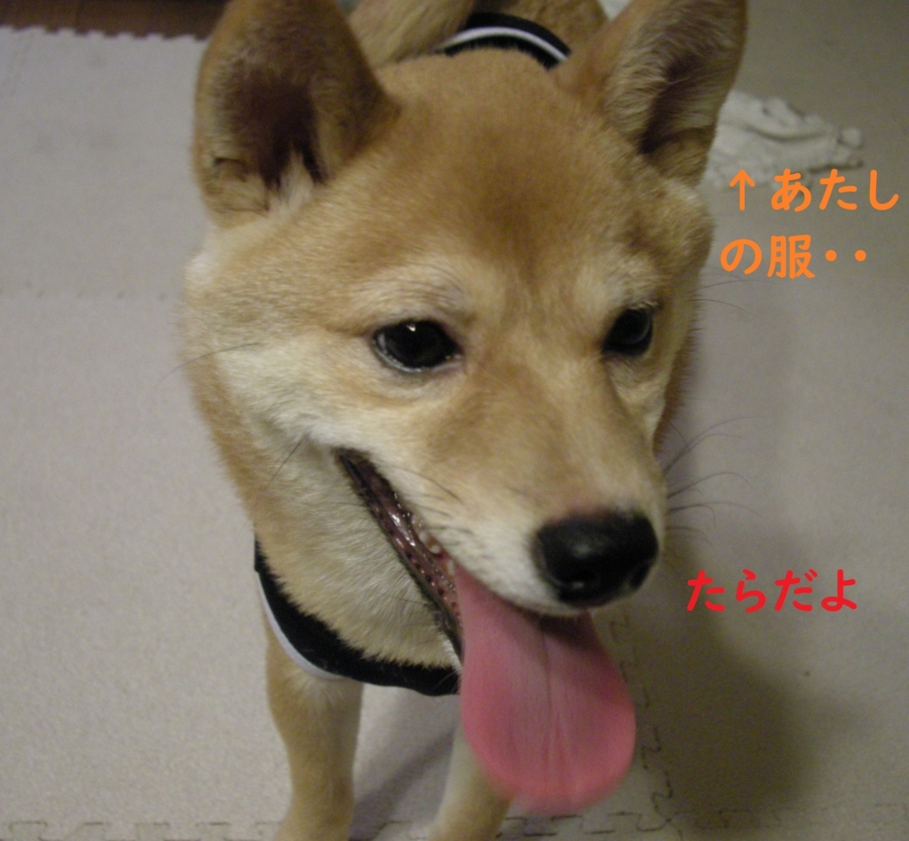 f:id:hanatara:20180809205615j:plain f:id:hanatara:20180809205615j:plain