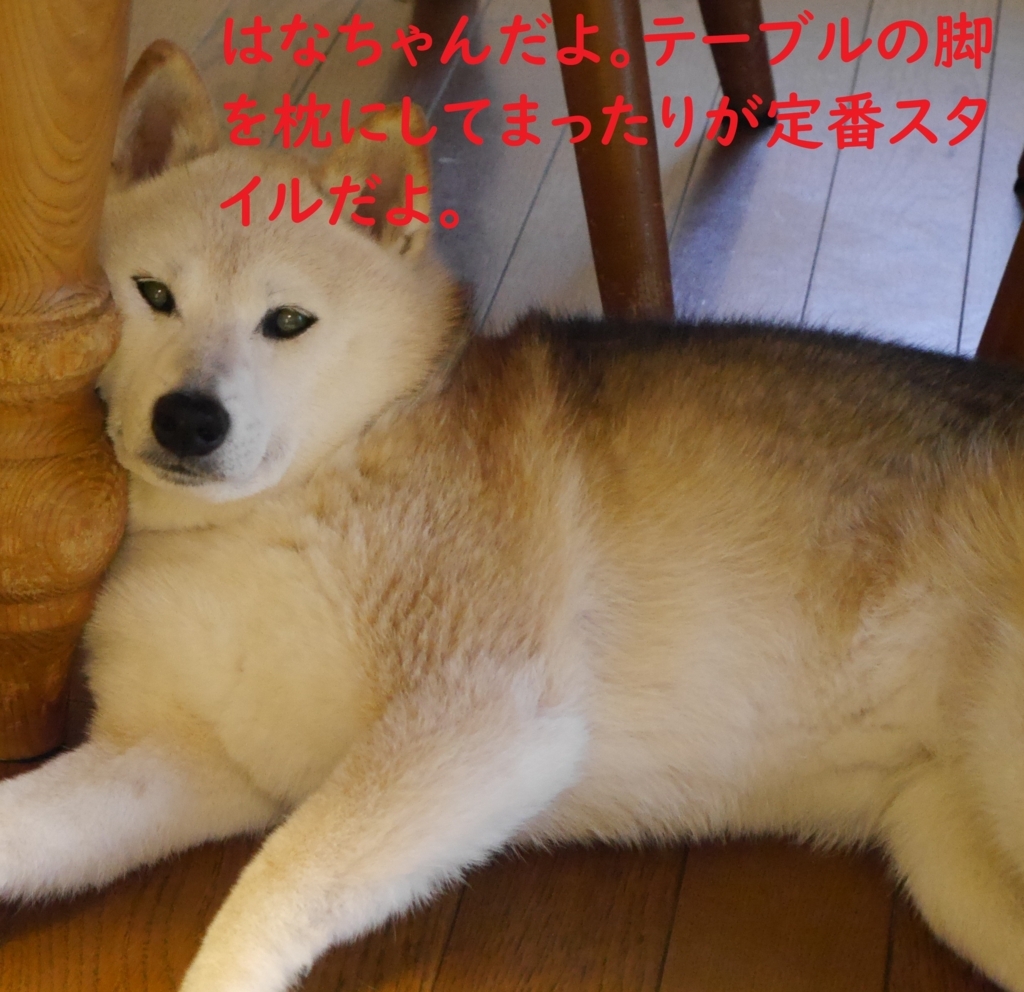 f:id:hanatara:20180810182054j:plain f:id:hanatara:20180810182054j:plain