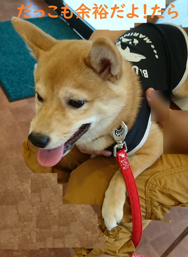 f:id:hanatara:20180811135949j:plain