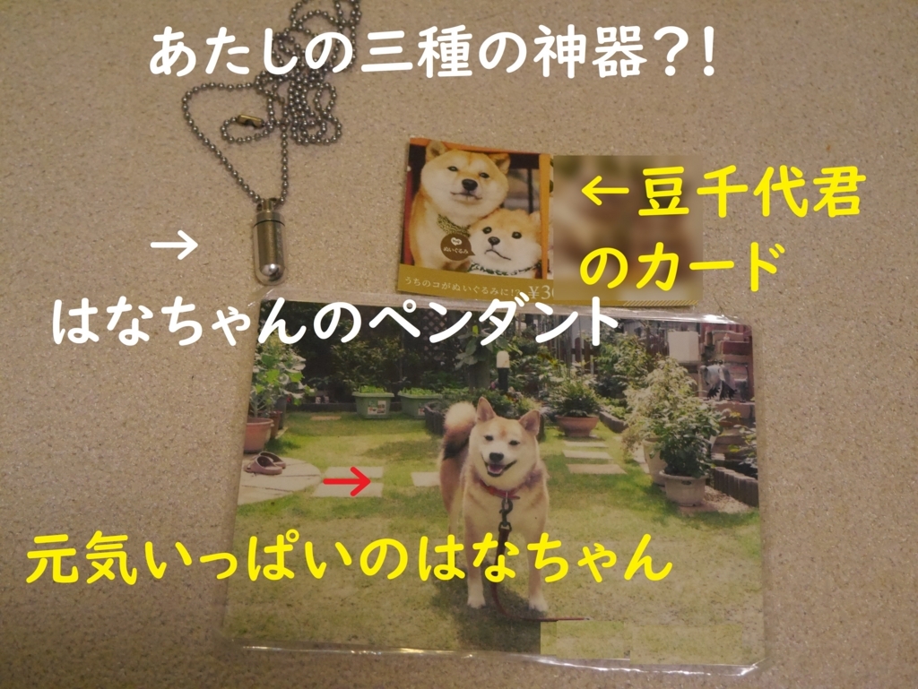f:id:hanatara:20180813195819j:plain f:id:hanatara:20180813195819j:plain