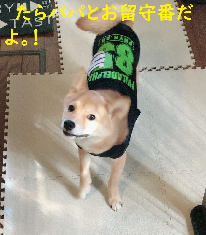 f:id:hanatara:20180815202308j:plain f:id:hanatara:20180815202308j:plain